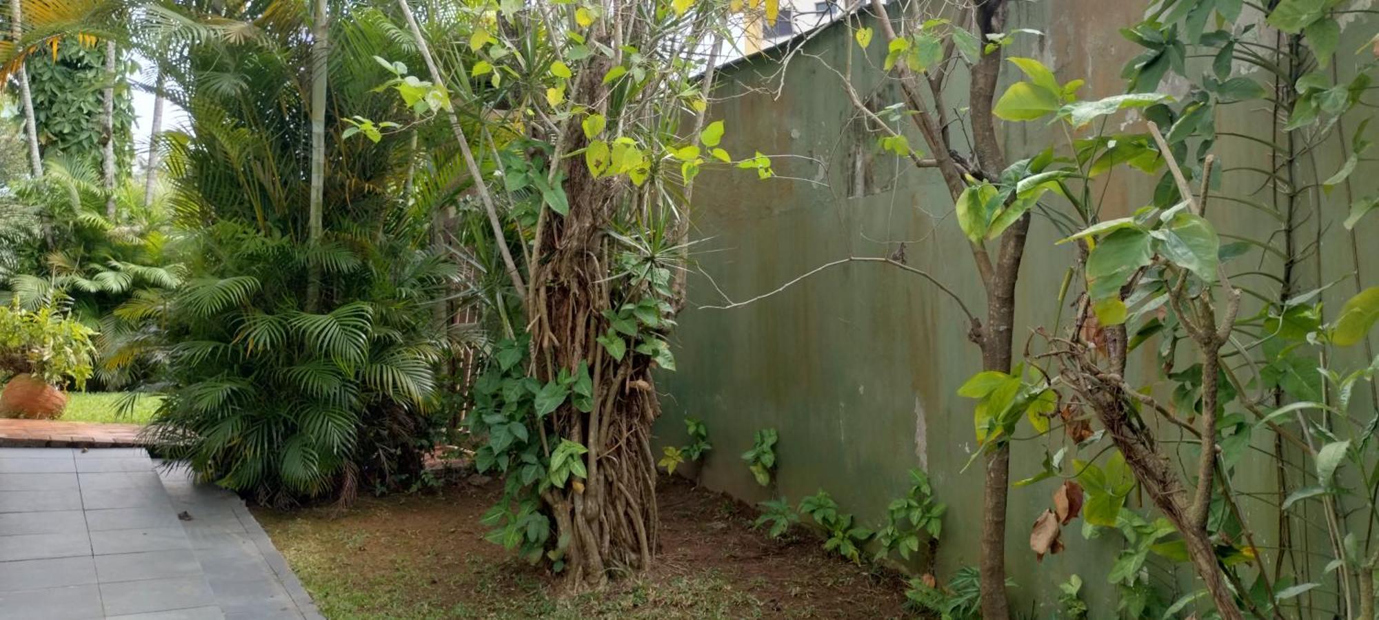 Casa A 250m Martim De Sa, Praia, Boas Opcoes De Lazer Сasa de vacaciones Caraguatatuba